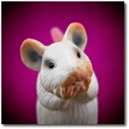 Mouse
2013